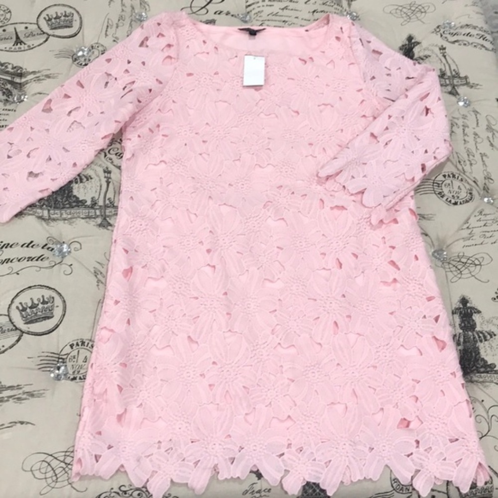 Felicity & Coco Belza Floral Lace Shift Dress - Picture 5 of 6